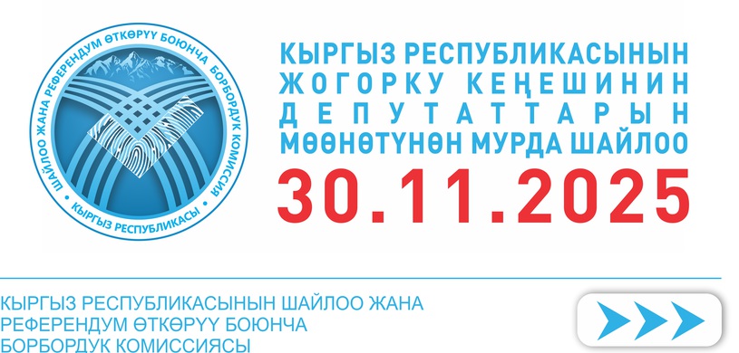 Выборы ноябрь - 2025